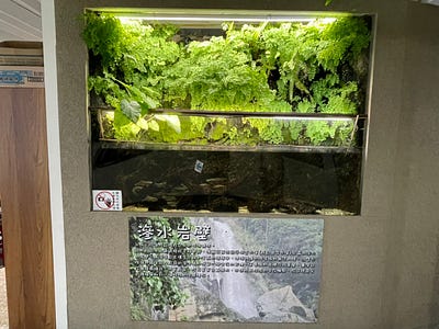 20250124-24_-200 20250124-24_-200